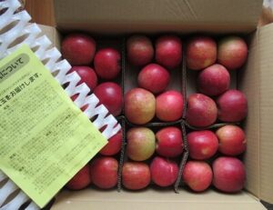 生協の減農薬紅玉りんご3