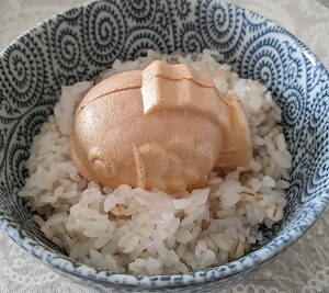 鯛のもなか茶漬８