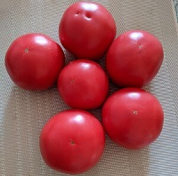 シンプル・トマトソースで使ったトマト
